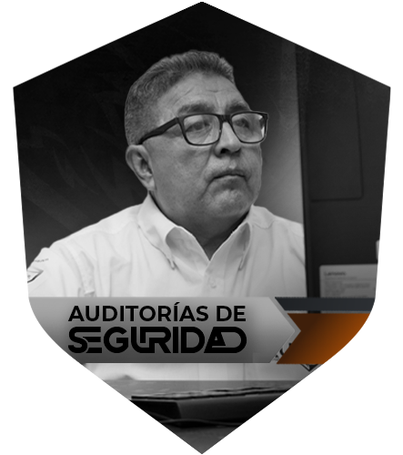 Auditorías de Seguridad